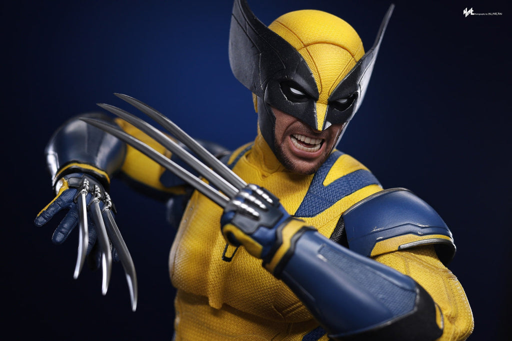 Ready🔥Hot Toys MMS753 Deadpool & Wolverine 1/6 Wolverine Collector Edition