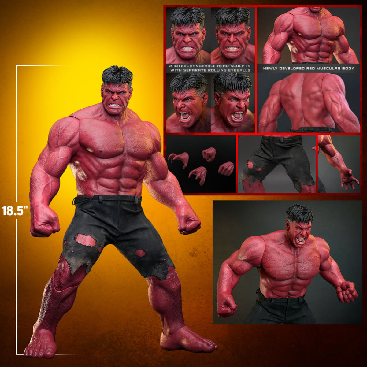 READY🔥Hot Toys MMS797 Captain America: Brave New World 1/6th scale Red Hulk Collectible Figure