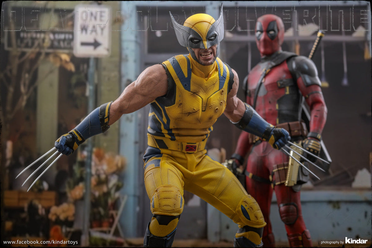 Ready🔥Hot Toys MMS753 Deadpool & Wolverine 1/6 Wolverine Collector Edition