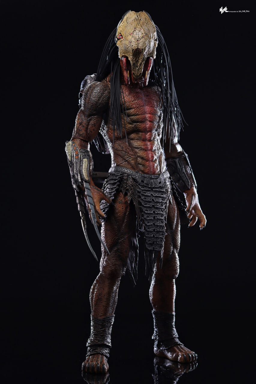READY🔥Hot Toys TMS114 The Prey Feral Predator 1/6 Scale Collectible Figure