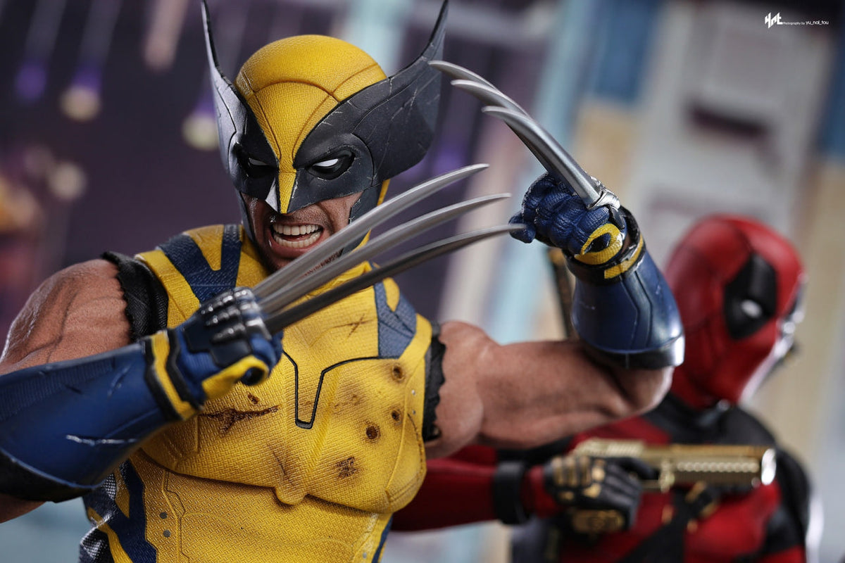Ready🔥Hot Toys MMS753 Deadpool & Wolverine 1/6 Wolverine Collector Edition