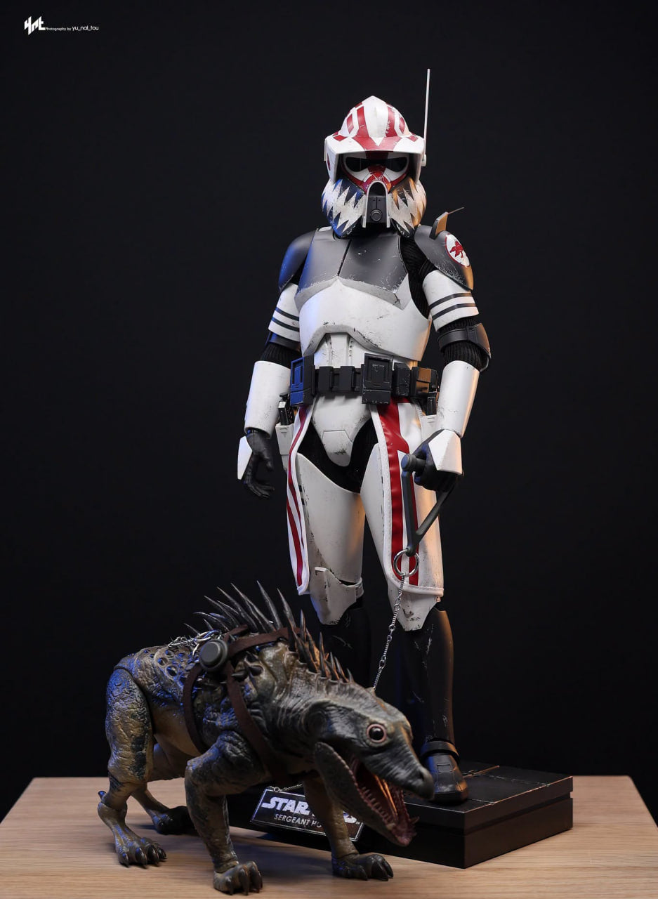 READY🔥Hot Toys TMS167 Star Wars: The Clone Wars - Sergeant Hound 1/6th Scale Collectible Figure