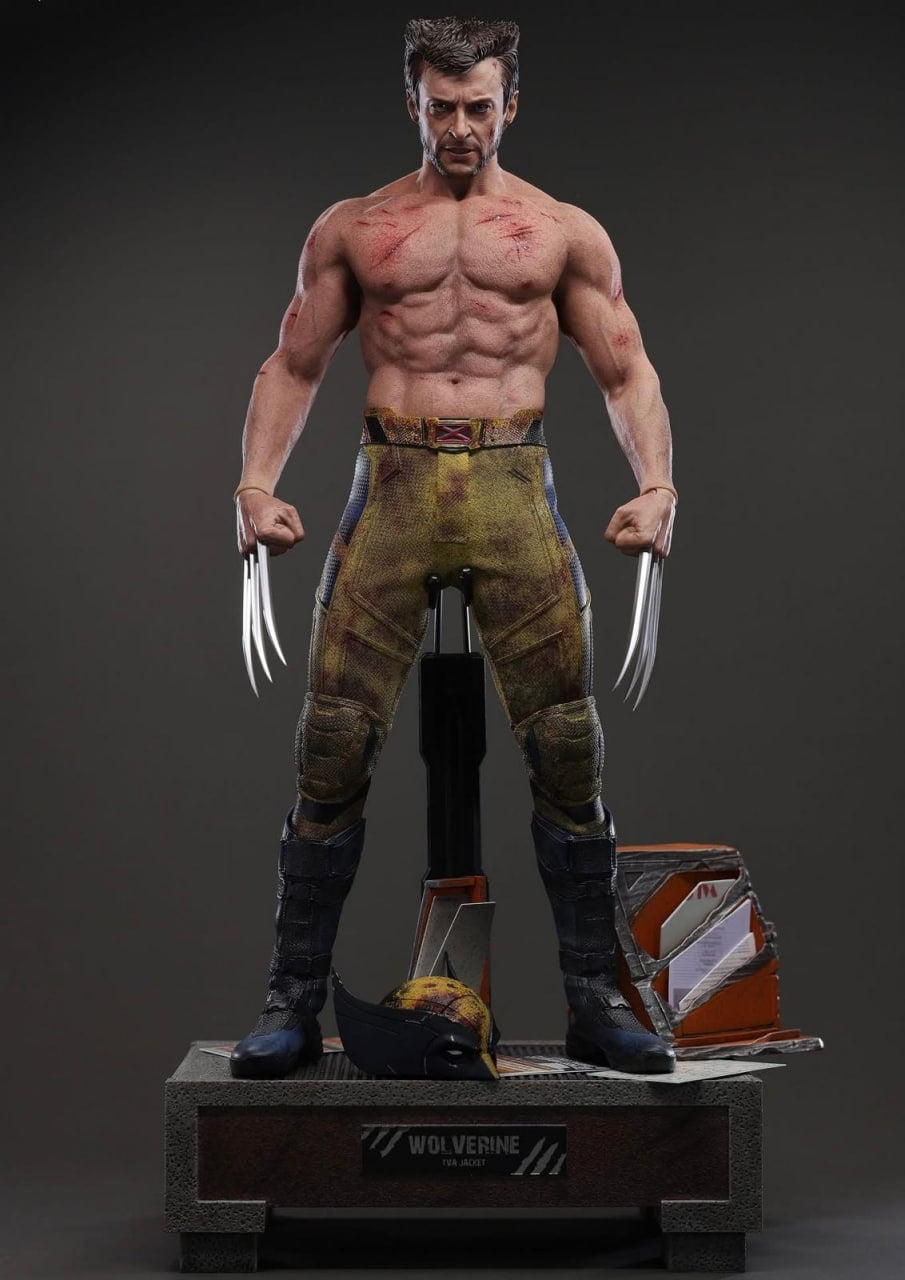READY🔥Hot Toys MMS756 Marvel Deadpool and Wolverine Wolverine (Jacket Version) 1/6 Scale Collectible Figure