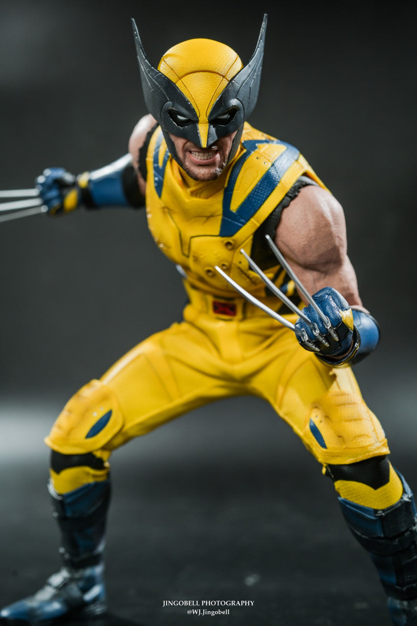 Ready🔥Hot Toys MMS753 Deadpool & Wolverine 1/6 Wolverine Collector Edition