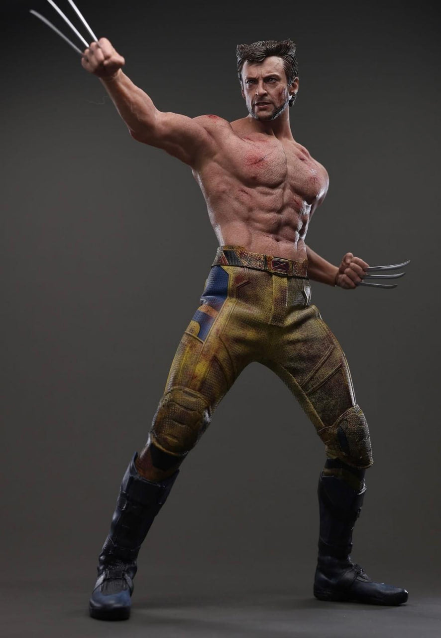 READY🔥Hot Toys MMS756 Marvel Deadpool and Wolverine Wolverine (Jacket Version) 1/6 Scale Collectible Figure