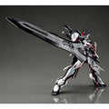 Premium BANDAI HG 1/144 Gundam Load Astray MHF-01Ω Figure JAPAN OFFICIAL