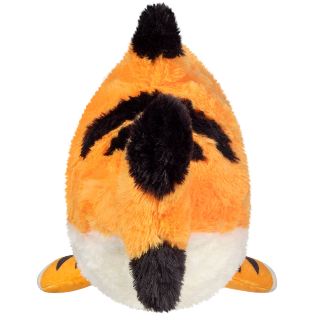 Mini Squishable Tiger Shark